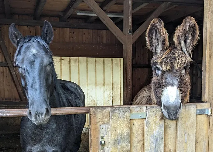 Lana Salta Alpakas - Gemuetliche Gaestezimmer Auf Dem Bauernhof
