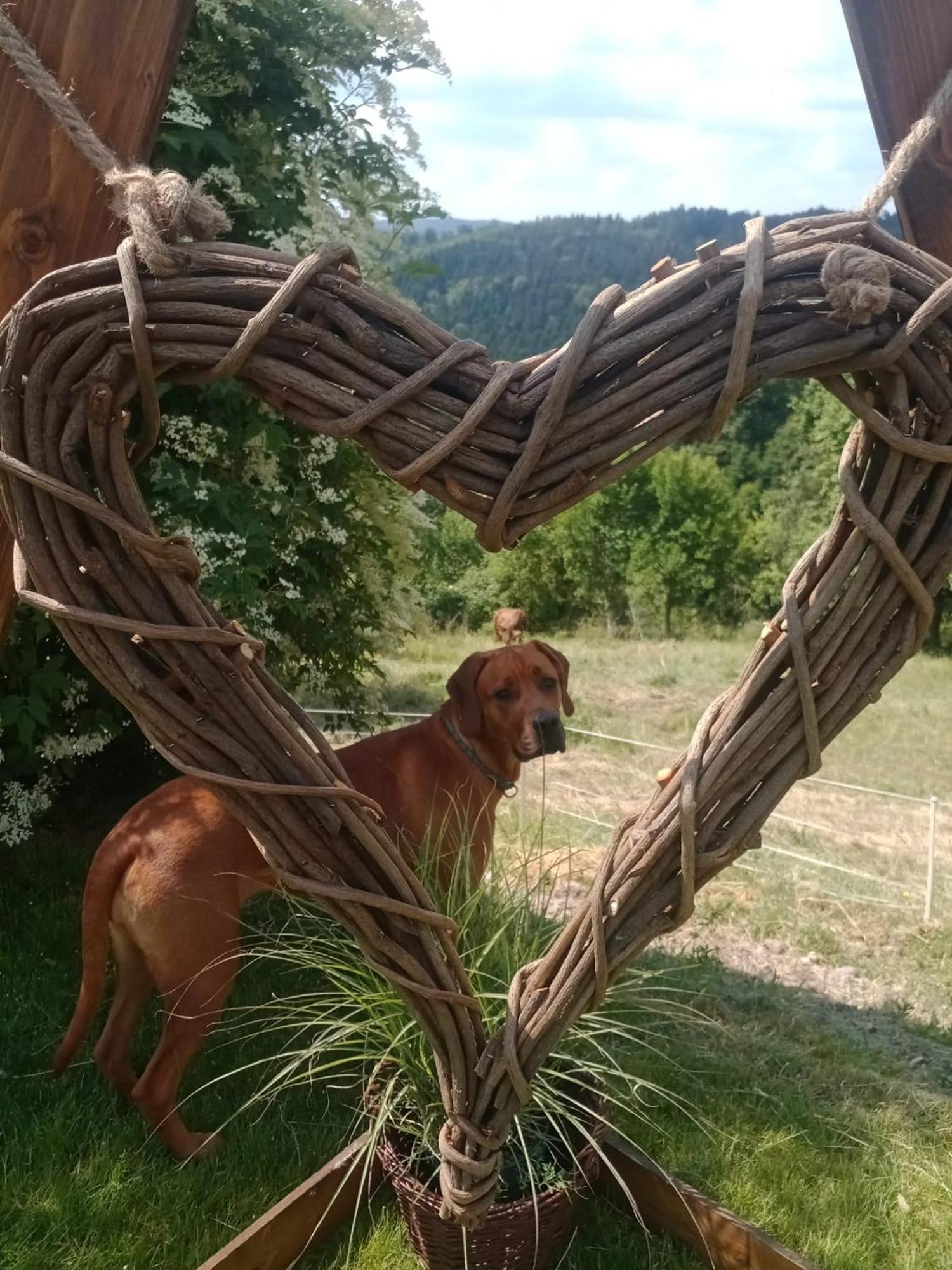 Lana Salta Alpakas - Gemuetliche Gaestezimmer Auf Dem Bauernhof Landhaus *